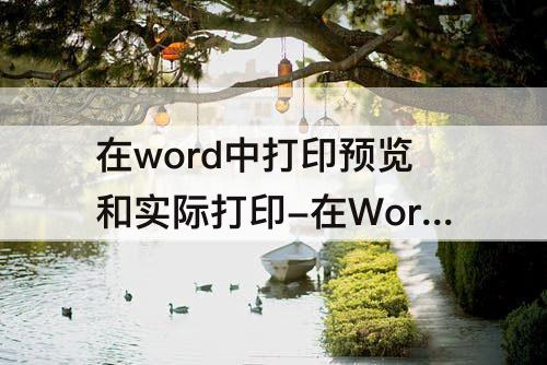 在word中打印预览和实际打印-在Word中打印预览和实际打印效果