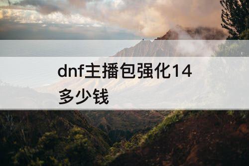 dnf主播包强化14多少钱