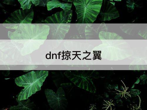 dnf掠天之翼