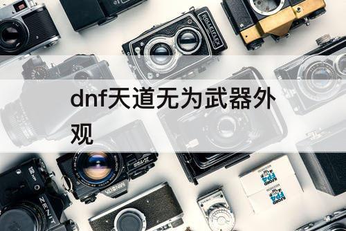 dnf天道无为武器外观
