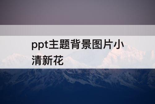 ppt主题背景图片小清新花