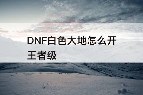 DNF白色大地怎么开王者级