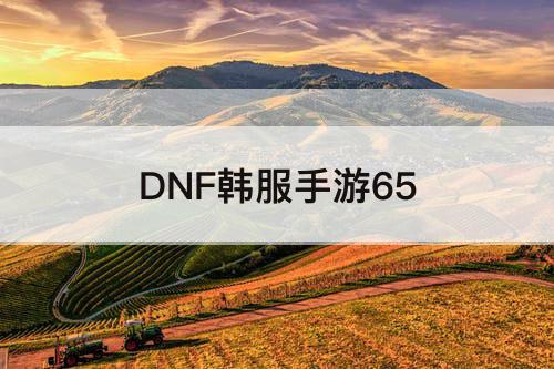 DNF韩服手游65