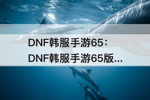 DNF韩服手游65：DNF韩服手游65版本综合职业