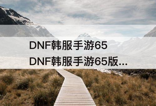 DNF韩服手游65 DNF韩服手游65版本毕业武器