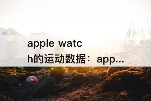 apple watch的运动数据：apple watch的运动数据上传到keep