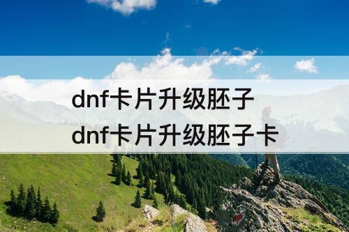 dnf卡片升级胚子 dnf卡片升级胚子卡