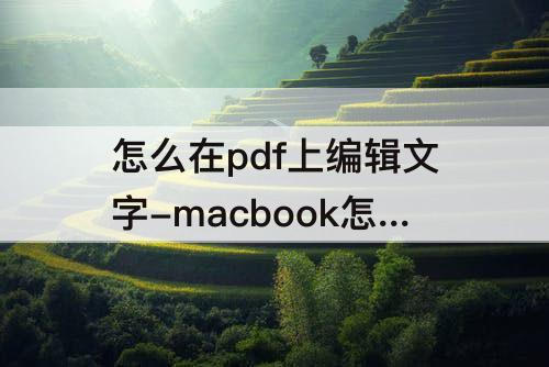 怎么在pdf上编辑文字-macbook怎么在pdf上编辑文字
