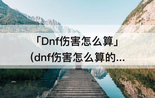 「Dnf伤害怎么算」(dnf伤害怎么算的)