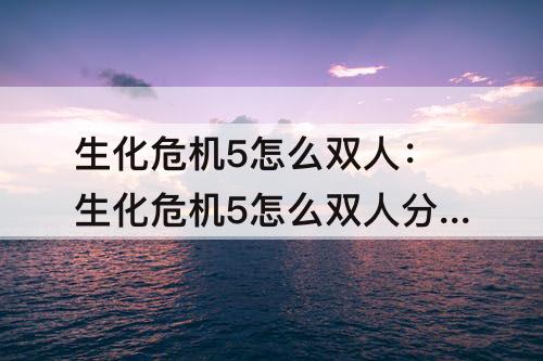 生化危机5怎么双人：生化危机5怎么双人分屏电脑