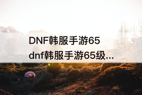 DNF韩服手游65 dnf韩服手游65级鬼泣白金徽章选什么好