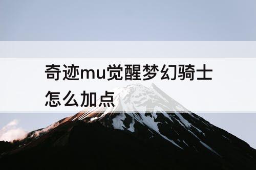 奇迹mu觉醒梦幻骑士怎么加点