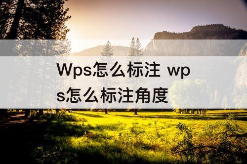 Wps怎么标注 wps怎么标注角度