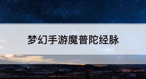 梦幻手游魔普陀经脉