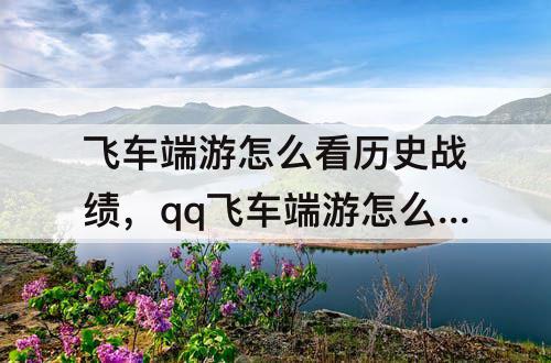 飞车端游怎么看历史战绩，qq飞车端游怎么看历史战绩