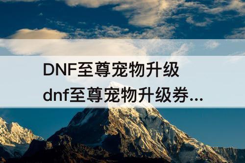 DNF至尊宠物升级 dnf至尊宠物升级券有啥用