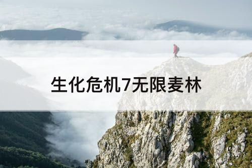 生化危机7无限麦林