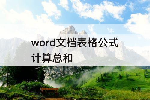 word文档表格公式计算总和