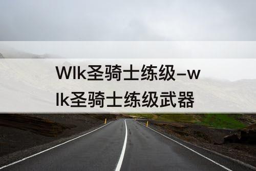 Wlk圣骑士练级-wlk圣骑士练级武器
