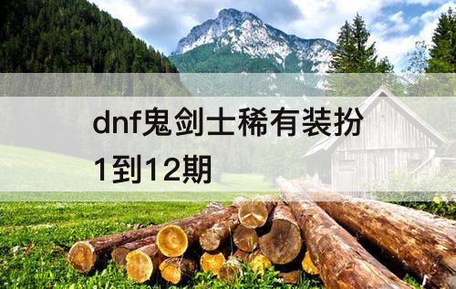 dnf鬼剑士稀有装扮1到12期
