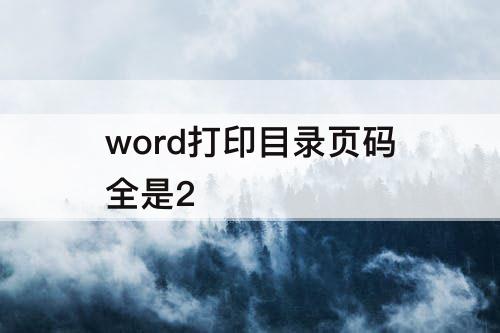 word打印目录页码全是2