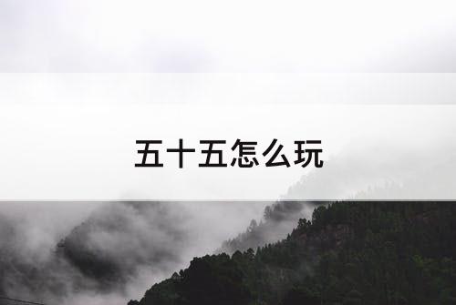 五十五怎么玩
