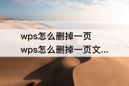 wps怎么删掉一页 wps怎么删掉一页文档