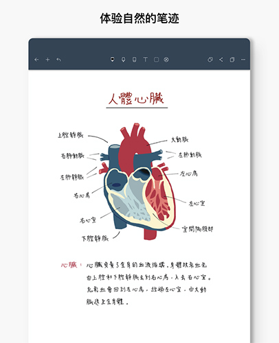 Noteshelf  v6.1.3图3