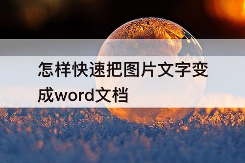 怎样快速把图片文字变成word文档