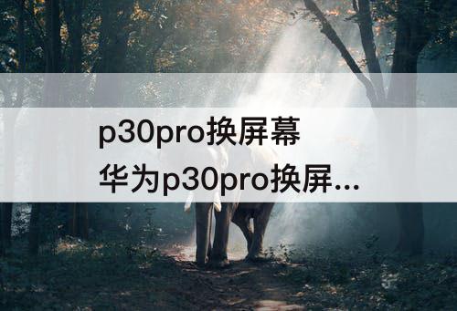 p30pro换屏幕 华为p30pro换屏幕总成视频