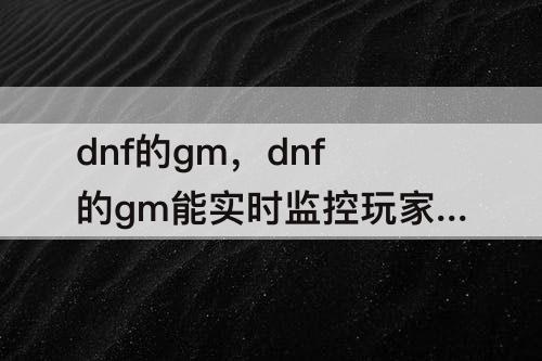 dnf的gm，dnf的gm能实时监控玩家吗
