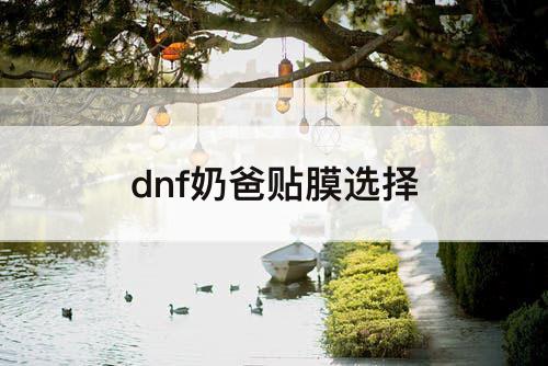 dnf奶爸贴膜选择