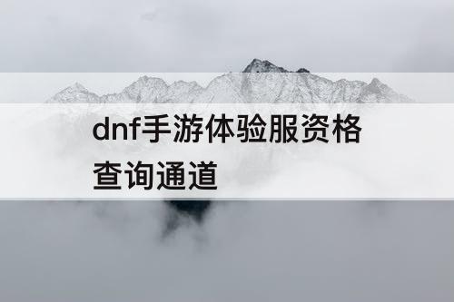 dnf手游体验服资格查询通道