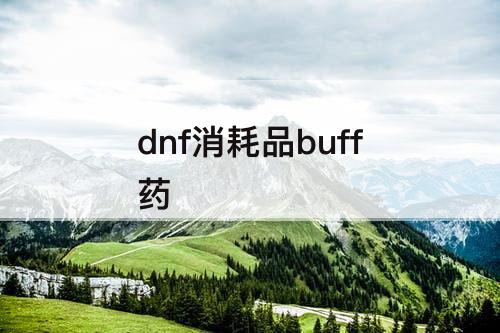 dnf消耗品buff药