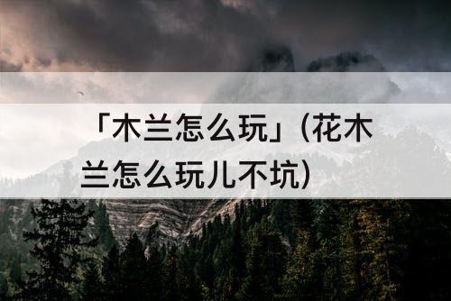 「木兰怎么玩」(花木兰怎么玩儿不坑)