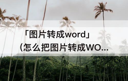 「图片转成word」(怎么把图片转成WORD格式)