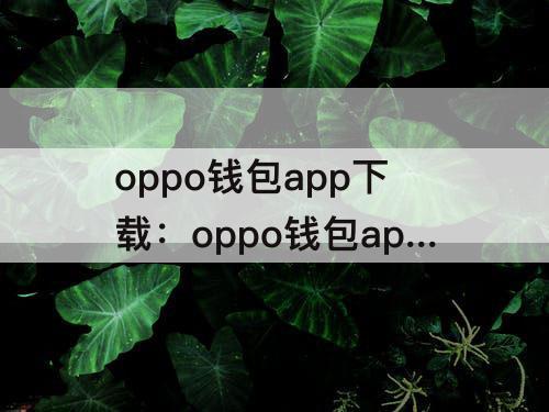 oppo钱包app下载：oppo钱包app下载安装苹果版