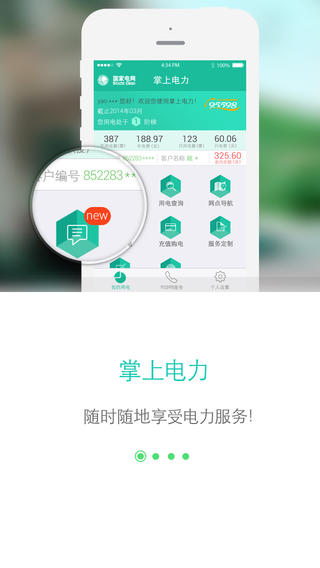 网上国网官方版下载到手机上