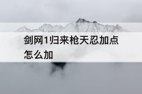 剑网1归来枪天忍加点怎么加
