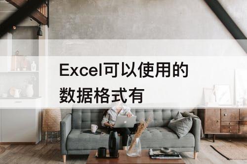 Excel可以使用的数据格式有