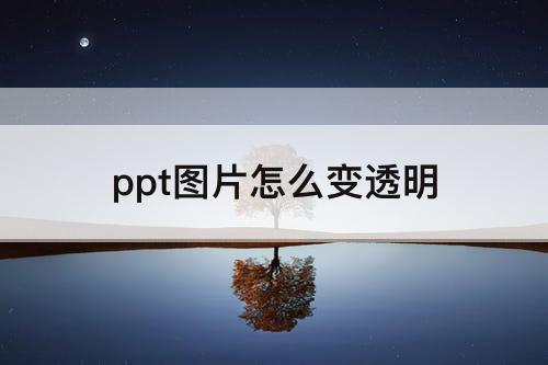 ppt图片怎么变透明