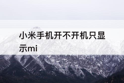 小米手机开不开机只显示mi