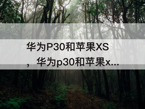 华为P30和苹果XS，华为p30和苹果xs mas选哪个