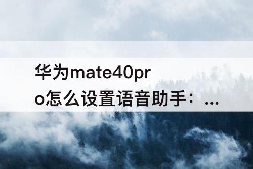 华为mate40pro怎么设置语音助手：华为mate40pro怎么设置语音助手连续对话功能怎么设置