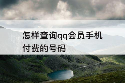 怎样查询qq会员手机付费的号码