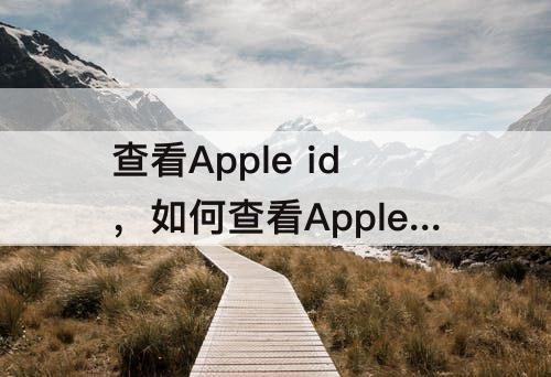 查看Apple id，如何查看Apple id