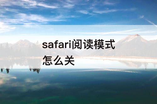 safari阅读模式怎么关