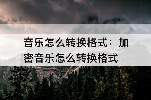 音乐怎么转换格式：加密音乐怎么转换格式