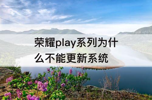 荣耀play系列为什么不能更新系统