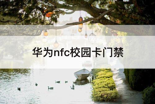 华为nfc校园卡门禁